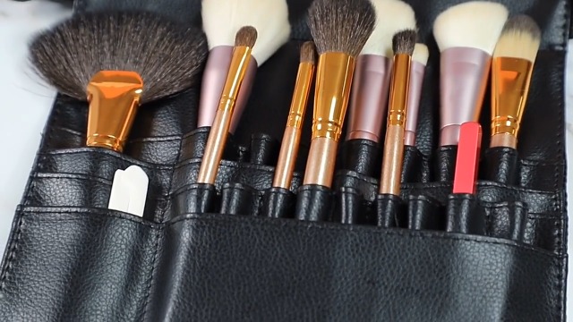 Amazon.com: Comicfs Makeup Brush Bag 22 Pockets Professional